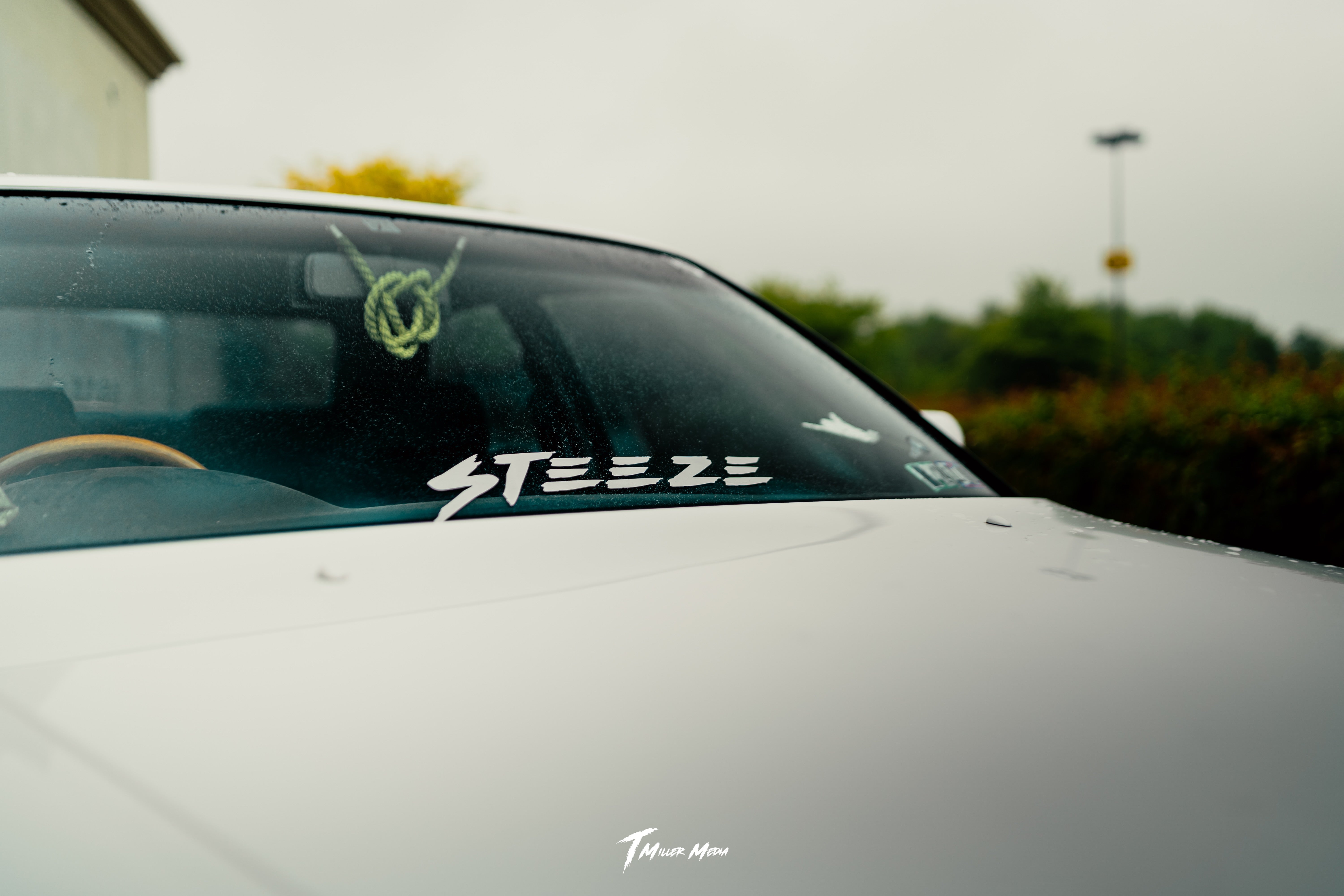 Steeze Windshield Banner