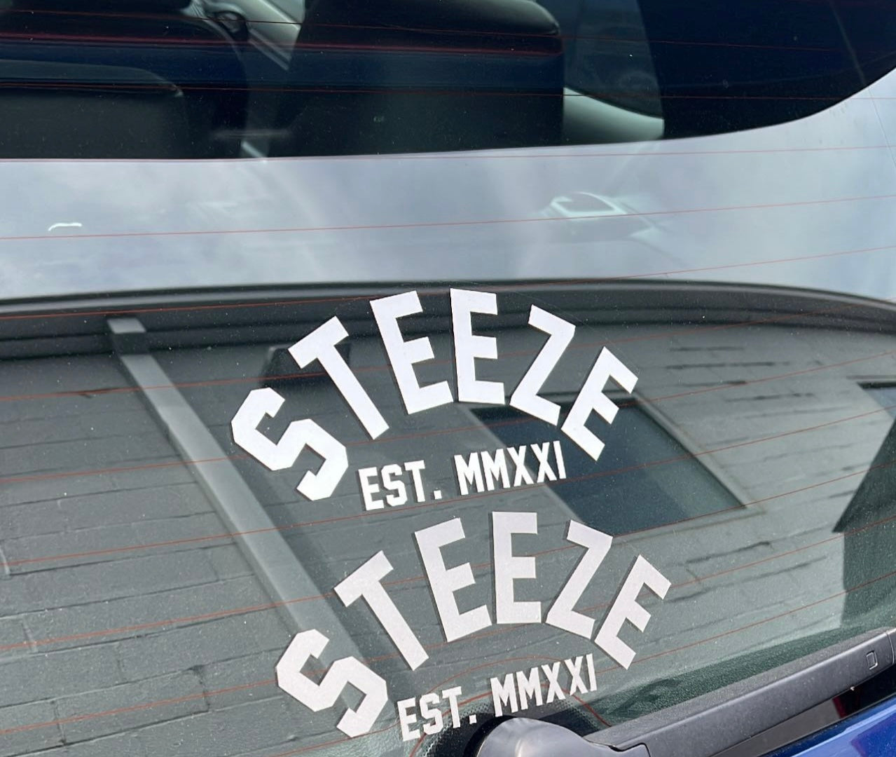 Steeze Arc Decal